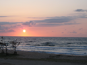 夕日ヶ浦海岸をはじめとする周辺観光スポットをご紹介 海花亭 花御前 海花亭 花御前